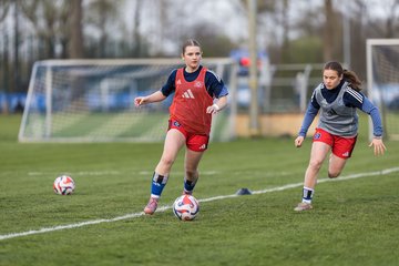 Bild 102 - wBJ Hamburger SV - Eimsbuettler TV : Ergebnis: 4:0